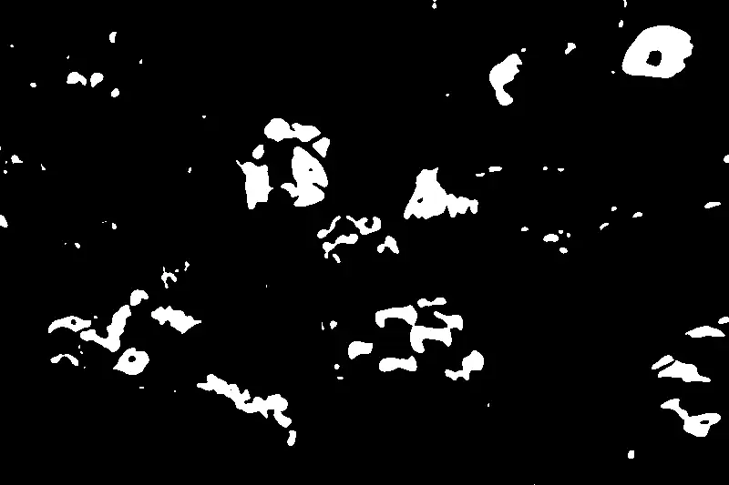 Binary Object Mask